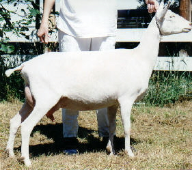 Carolina
