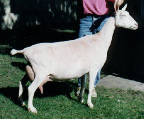 Cretia